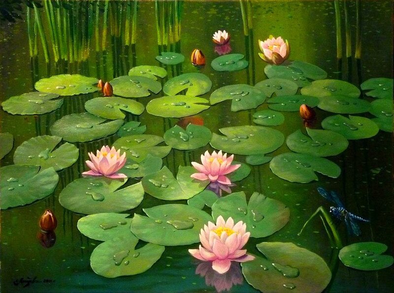 Pink Water Lilies on Pond — Green, Serene