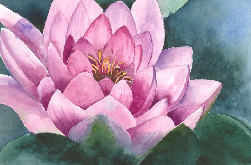 Pink Water Lily Flower — Serene, Painting