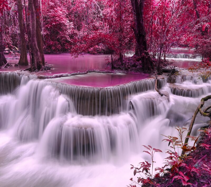 Pink Waterfall in Forest