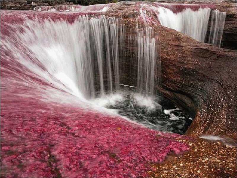 Pink Waterfall