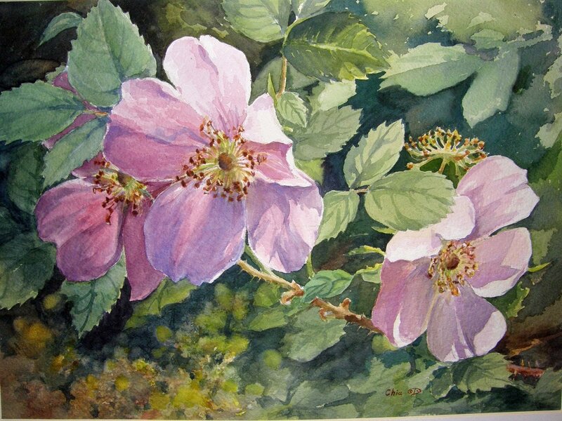 Pink Wild Roses — Purple