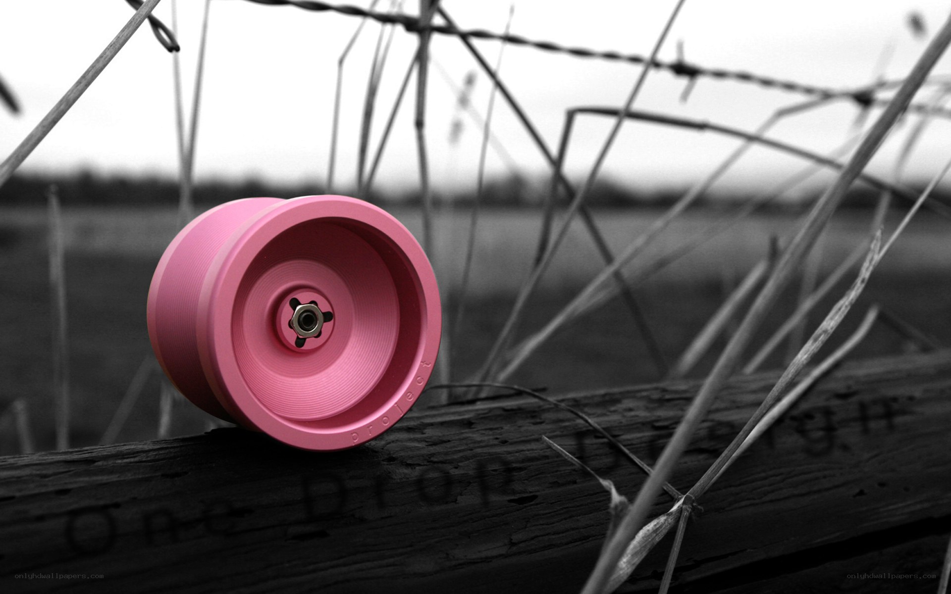 Pink yo-yo on wooden rail