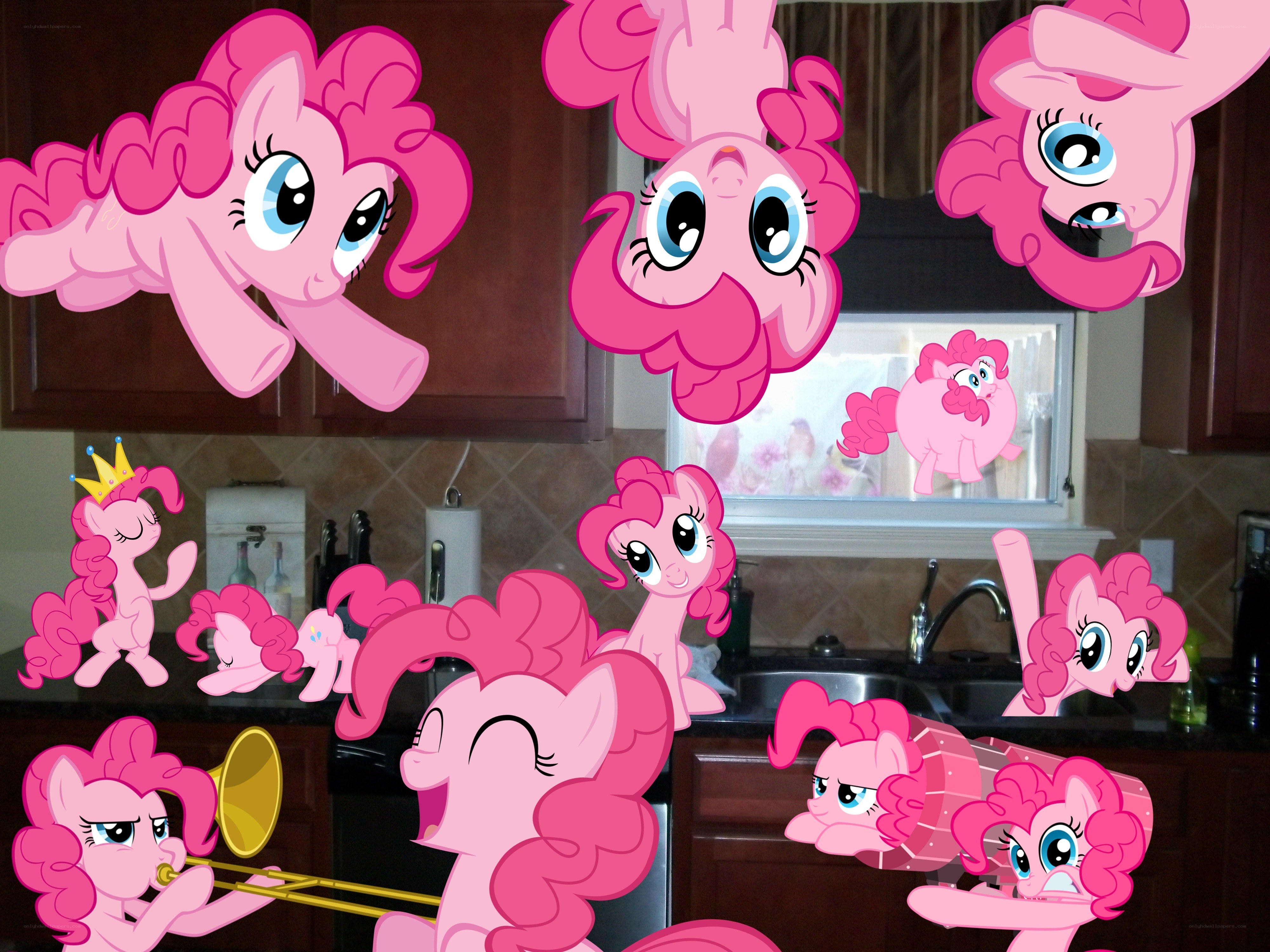 Pinkie Pie collage in kitchen