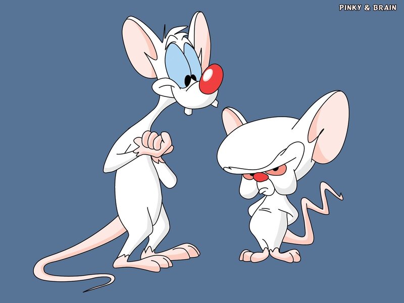 Pinky and Brain characters