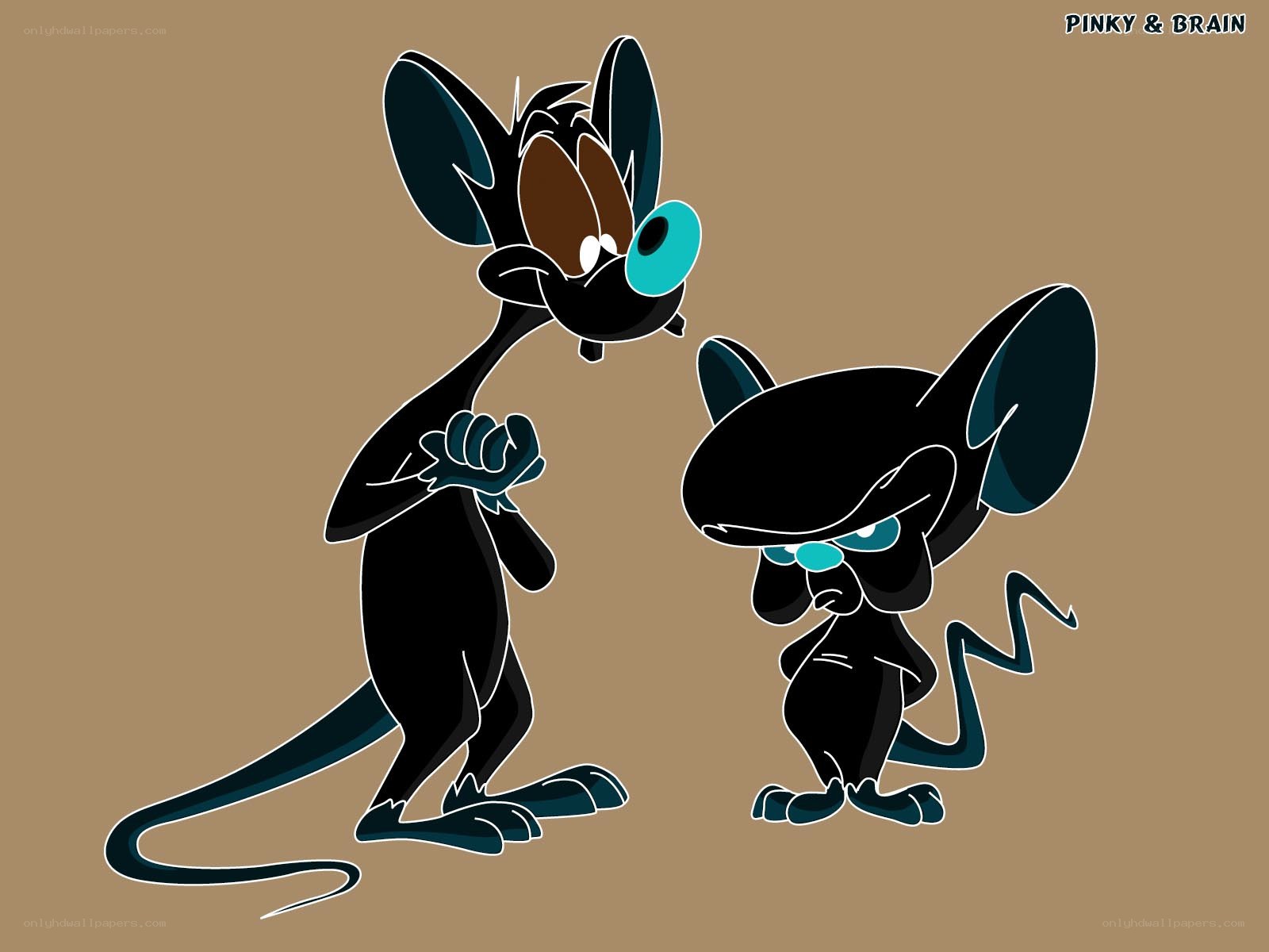 Pinky and Brain characters