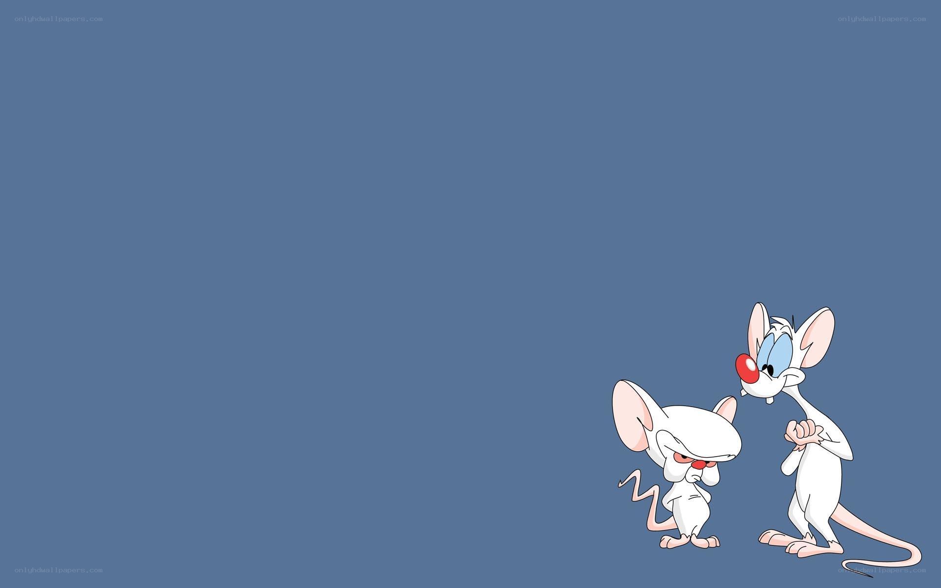 Pinky and the Brain characters