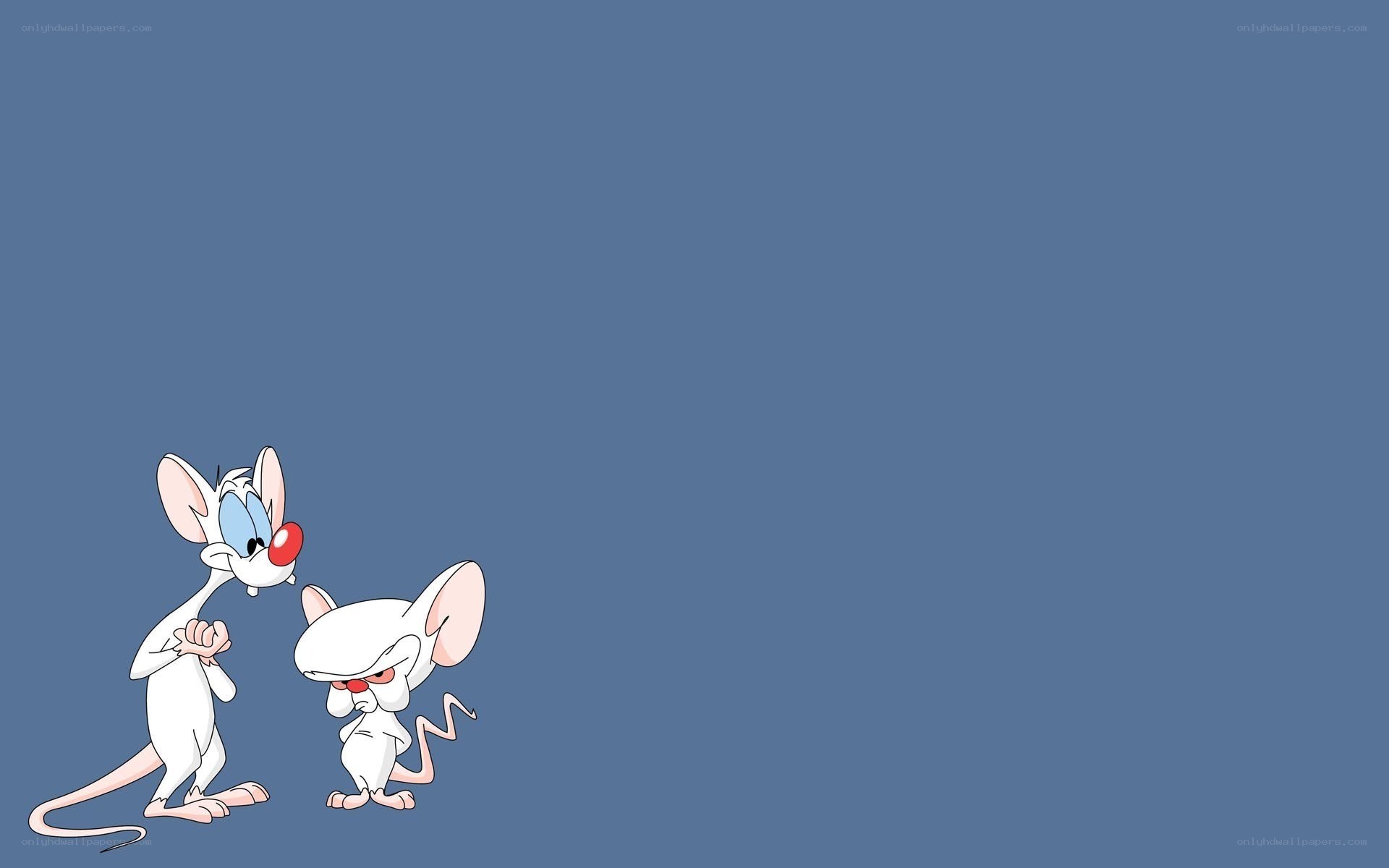Pinky and the Brain characters