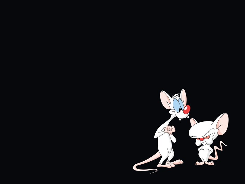 Pinky and the Brain characters