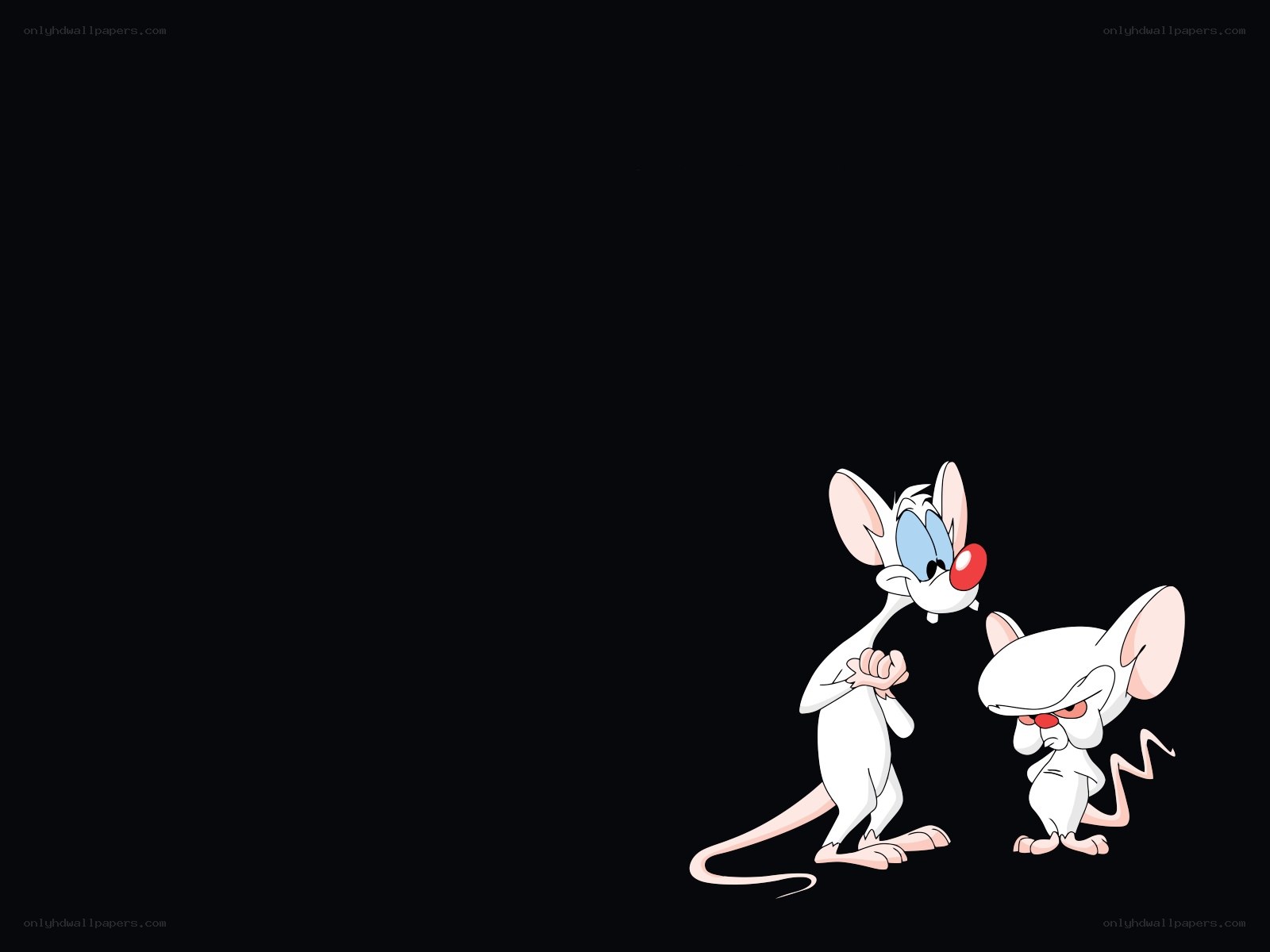 Pinky and the Brain characters