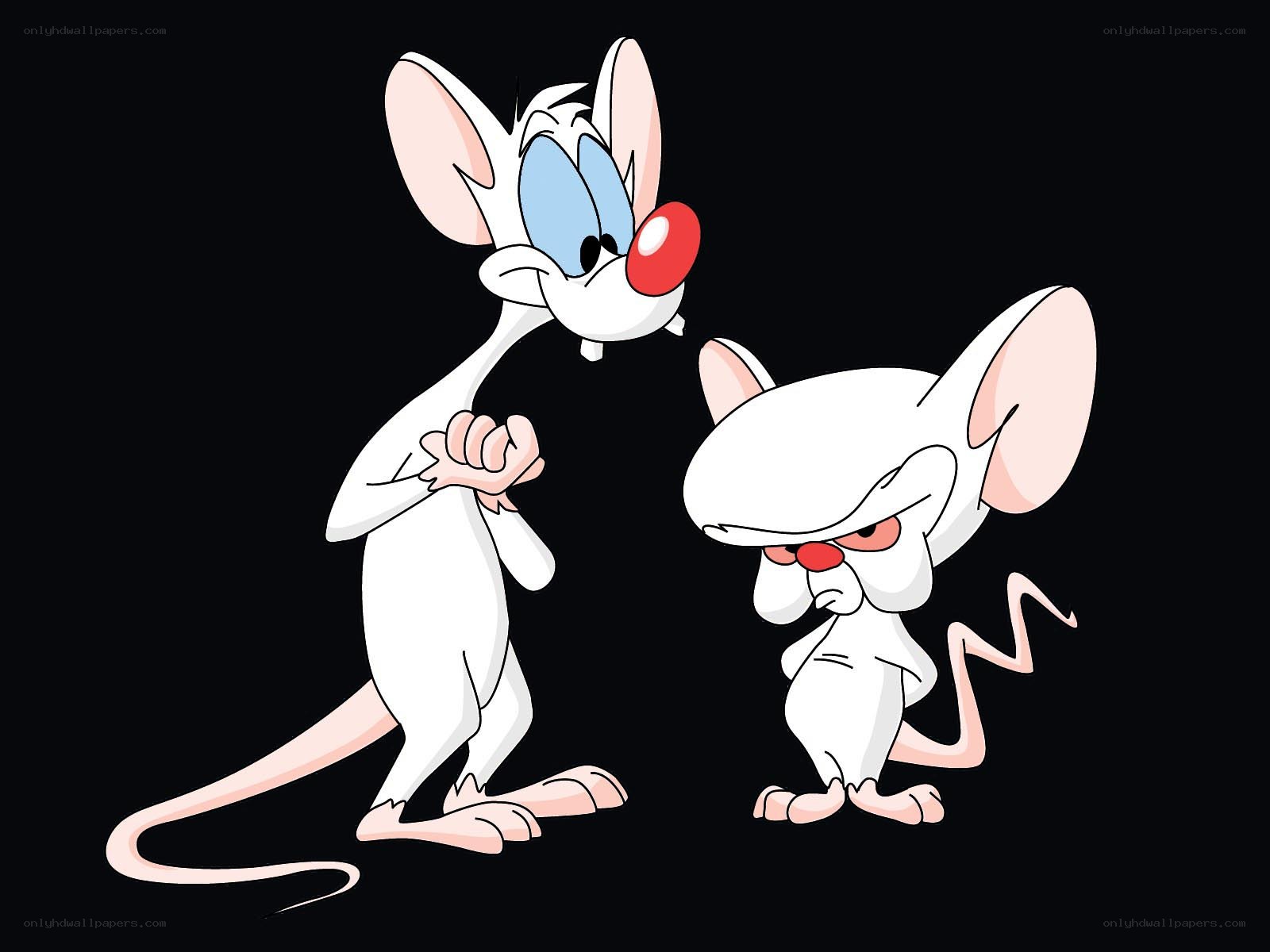 Pinky and the Brain