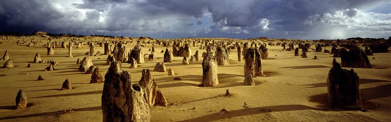 Pinnacles Desert Formations — Brown, Dramatic