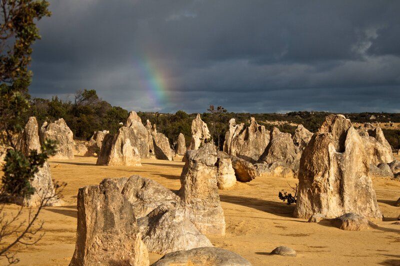 Pinnacles Desert Landscape — Brown