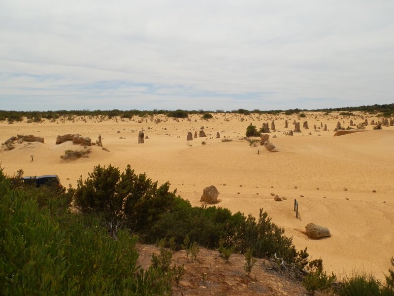 Pinnacles Desert