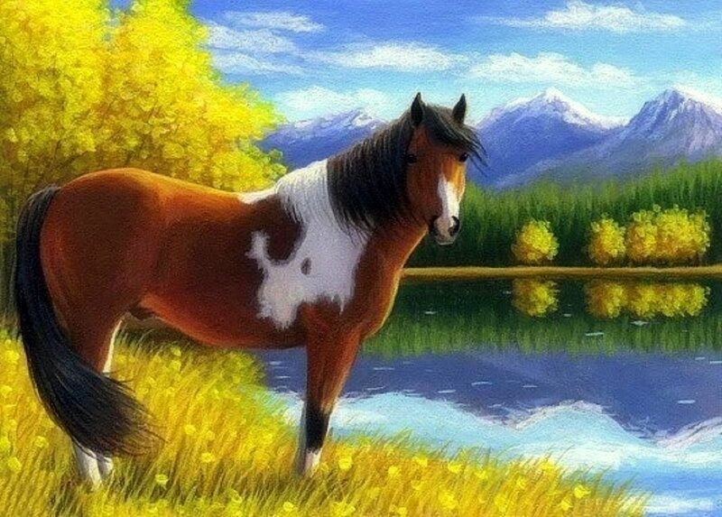 Pinto Horse by Lake
