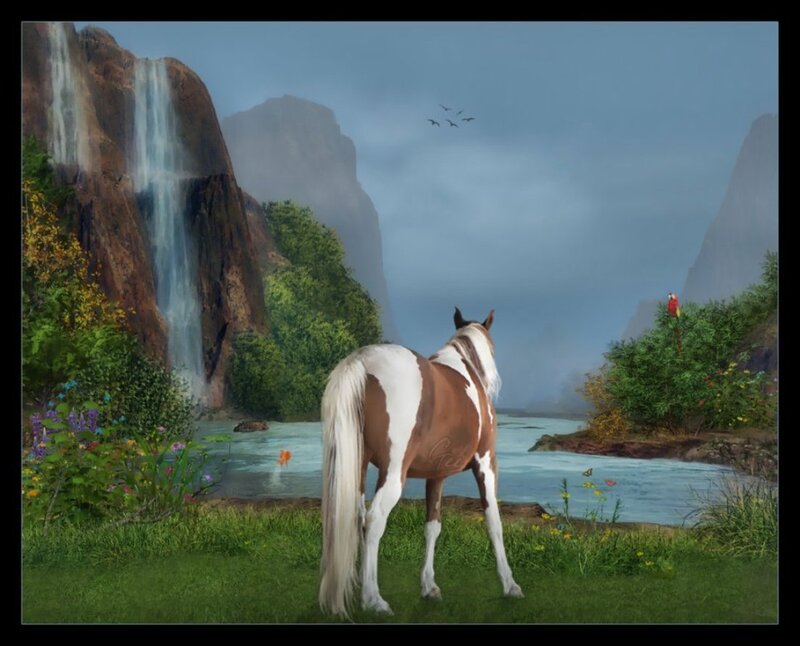 Pinto Horse by River