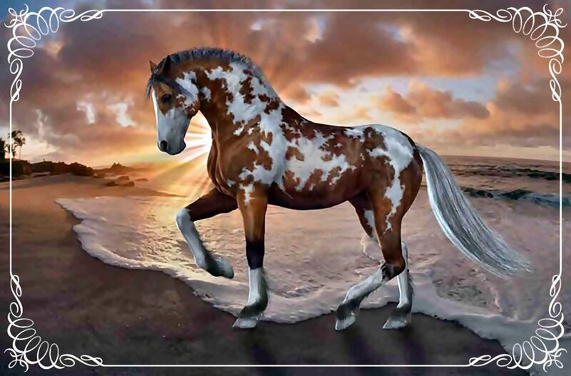 Pinto Horse on Beach — Brown