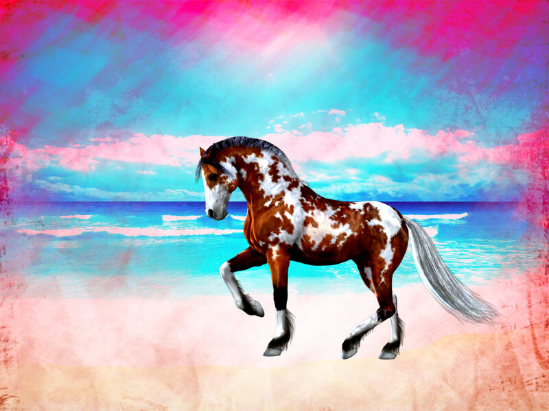 Pinto Horse on Beach — Pink