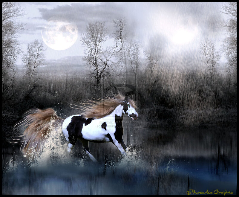 Pinto Horse Running — Black