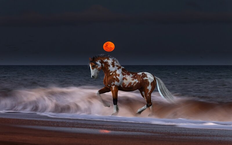 Pinto Horse Running — Brown, Dramatic, Night