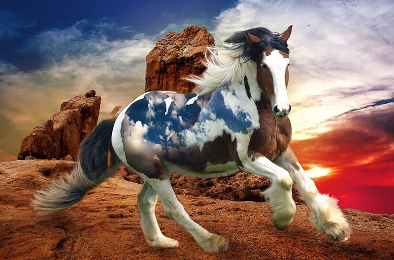 Pinto Horse Running — Brown, Dramatic, Sunset, Digital Art