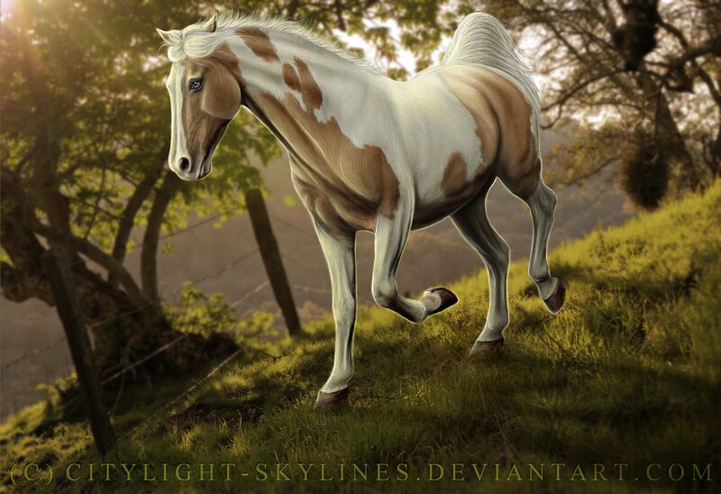 Pinto Horse Running — Green, Serene
