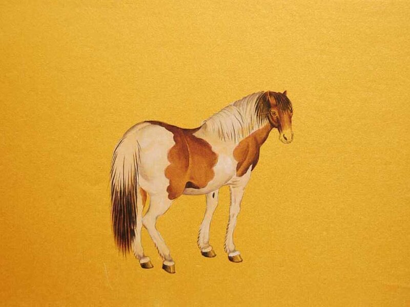Pinto Horse Standing — Yellow, Calm