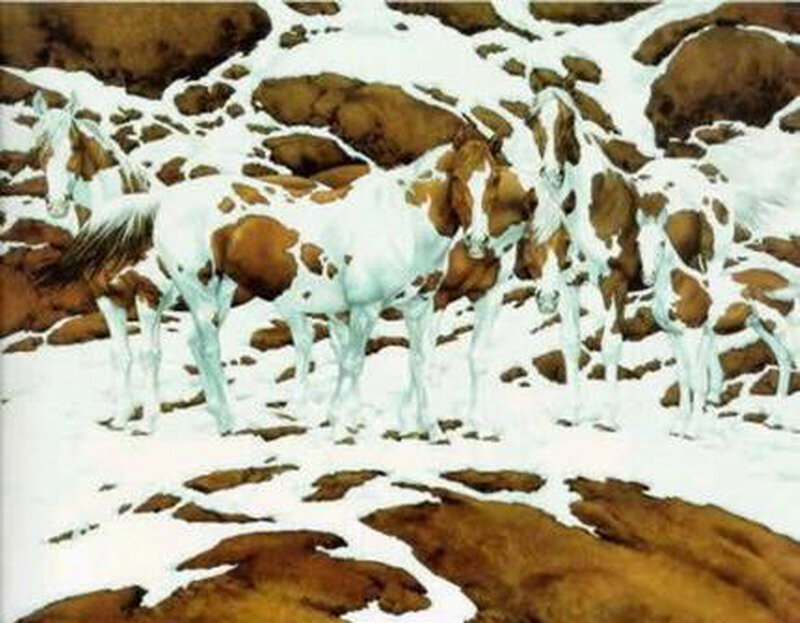 Pinto Horses in Snow