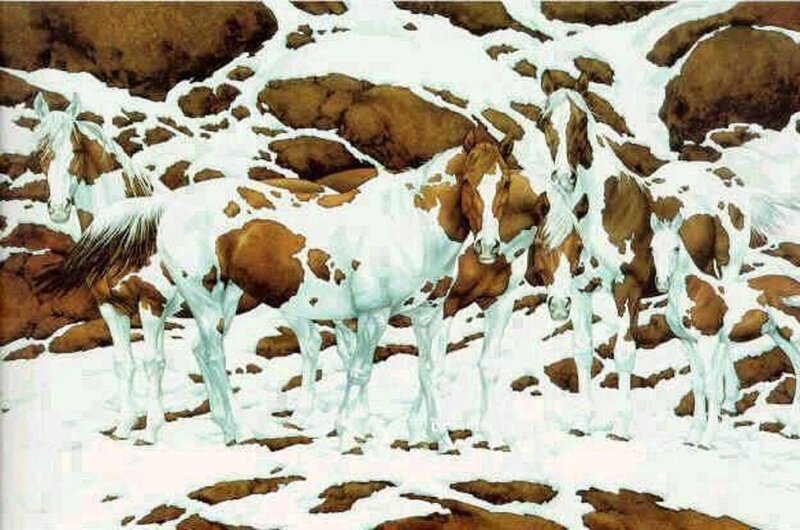 Pinto Horses in Snow — White