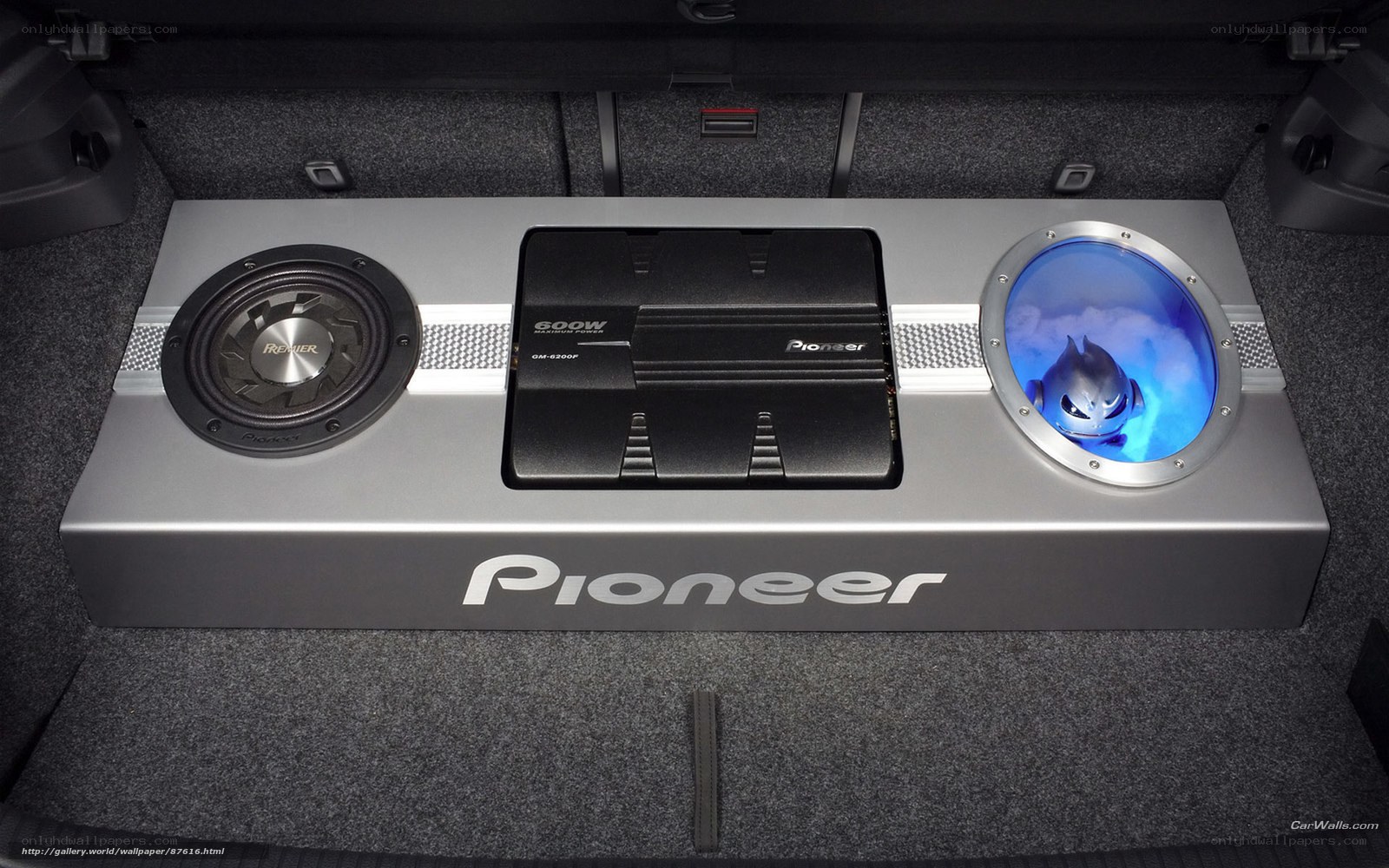 Pioneer car audio system