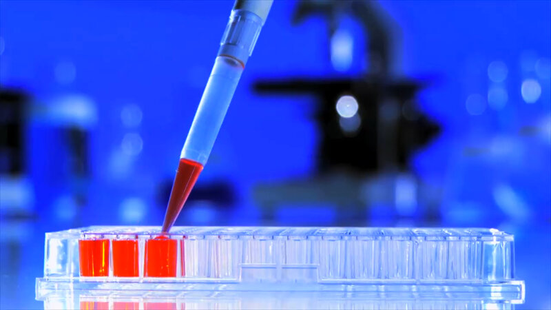 Pipette Adding Liquid
