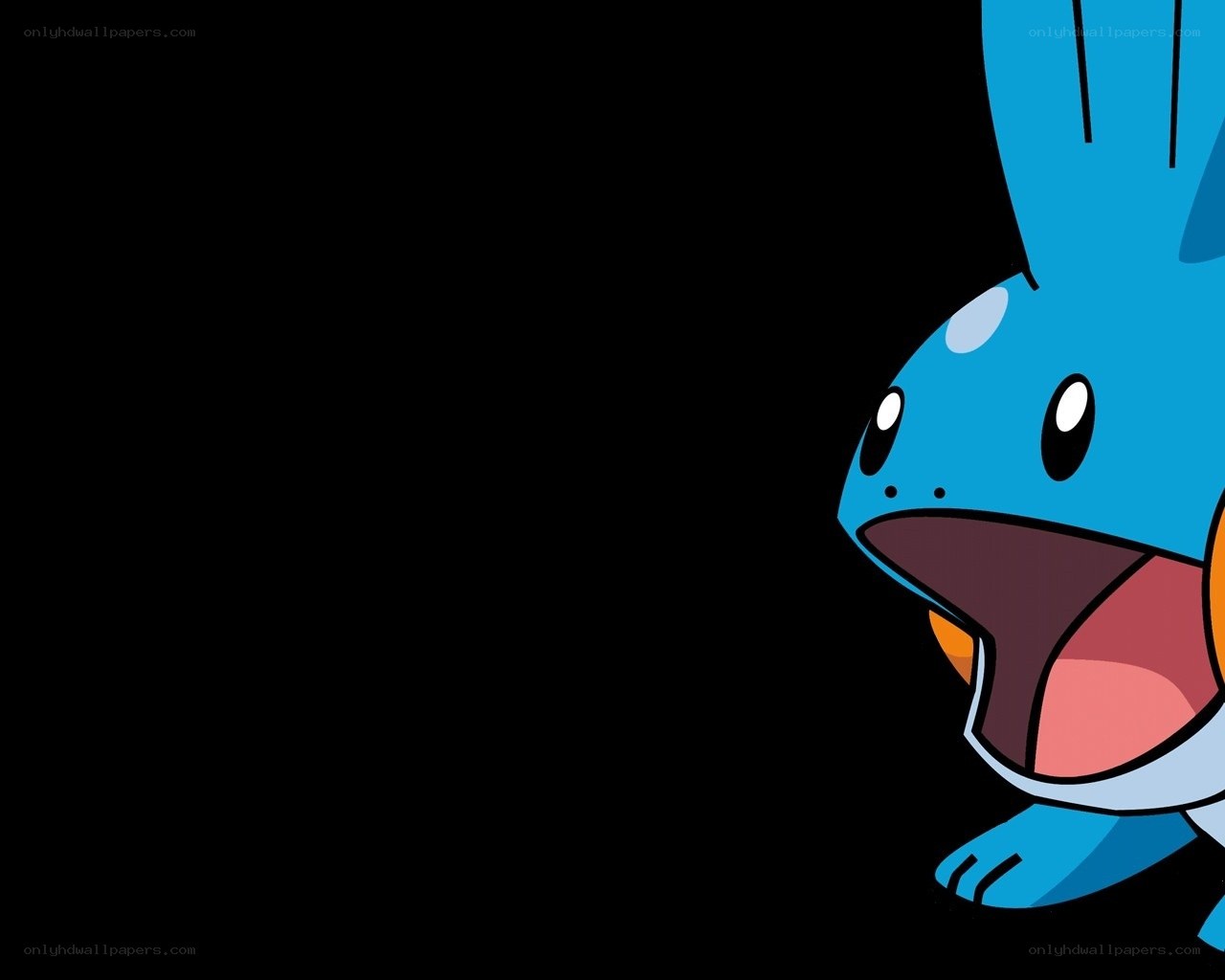 Piplup character from Pokémon