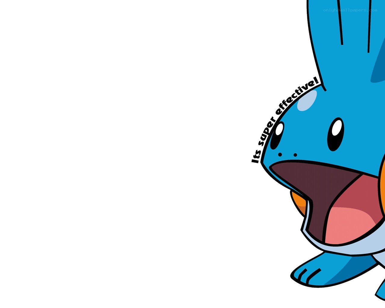 Piplup character with text