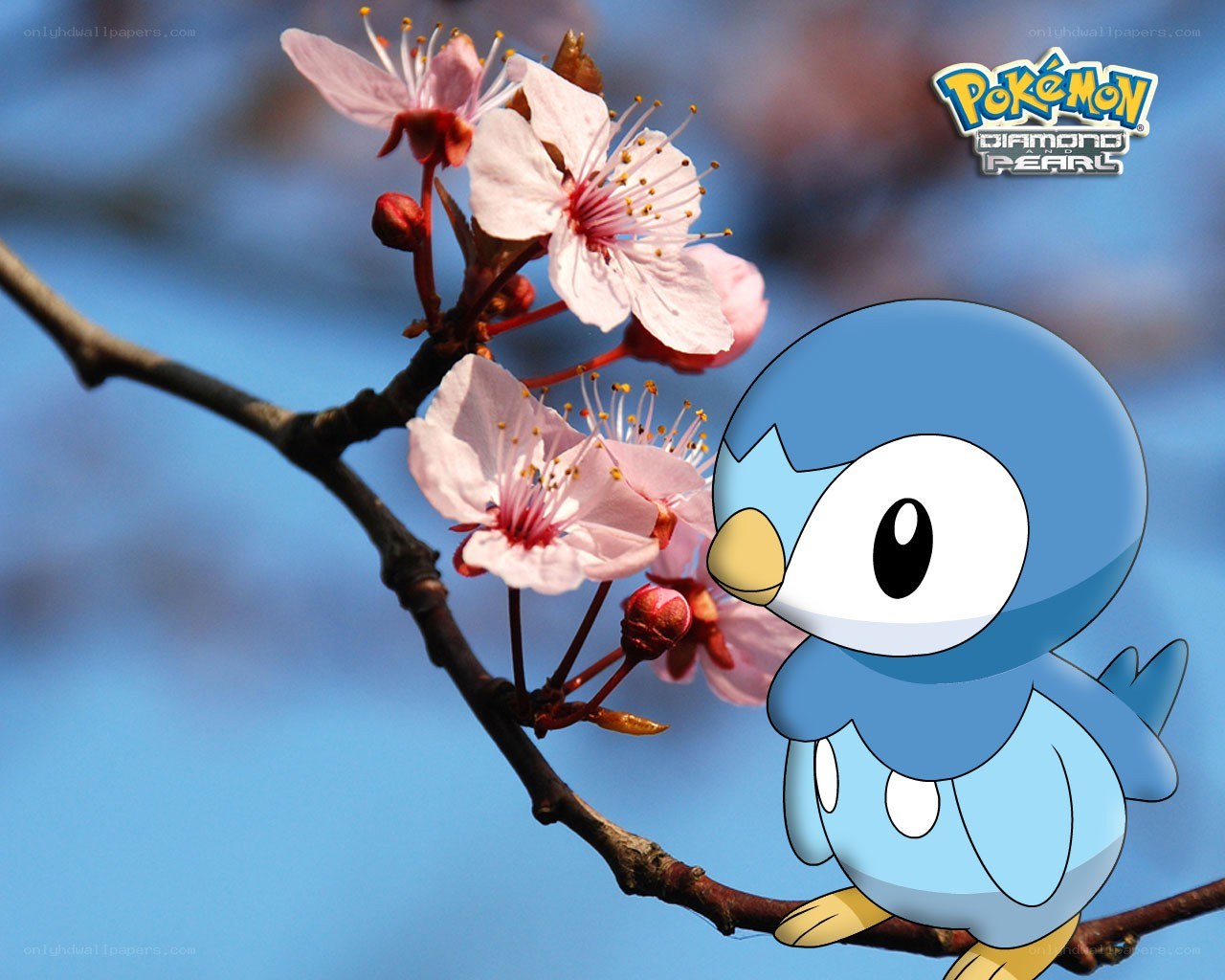 Piplup on a cherry blossom branch