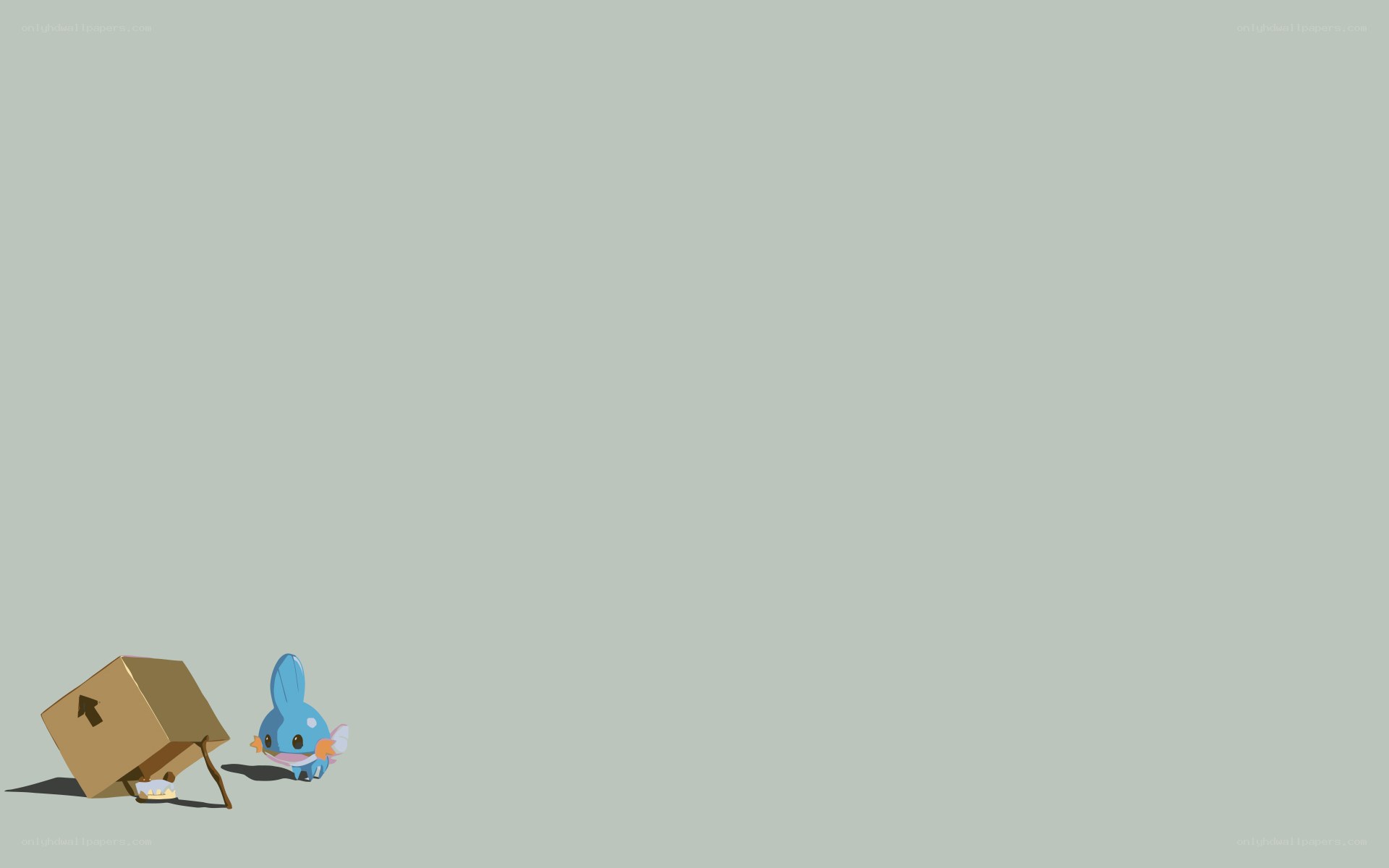 Piplup with a cardboard box