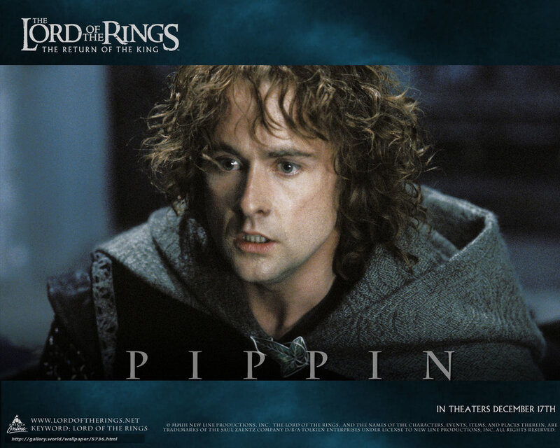 Pippin from Lord of the Rings