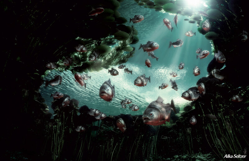 Piranhas in Water — Green