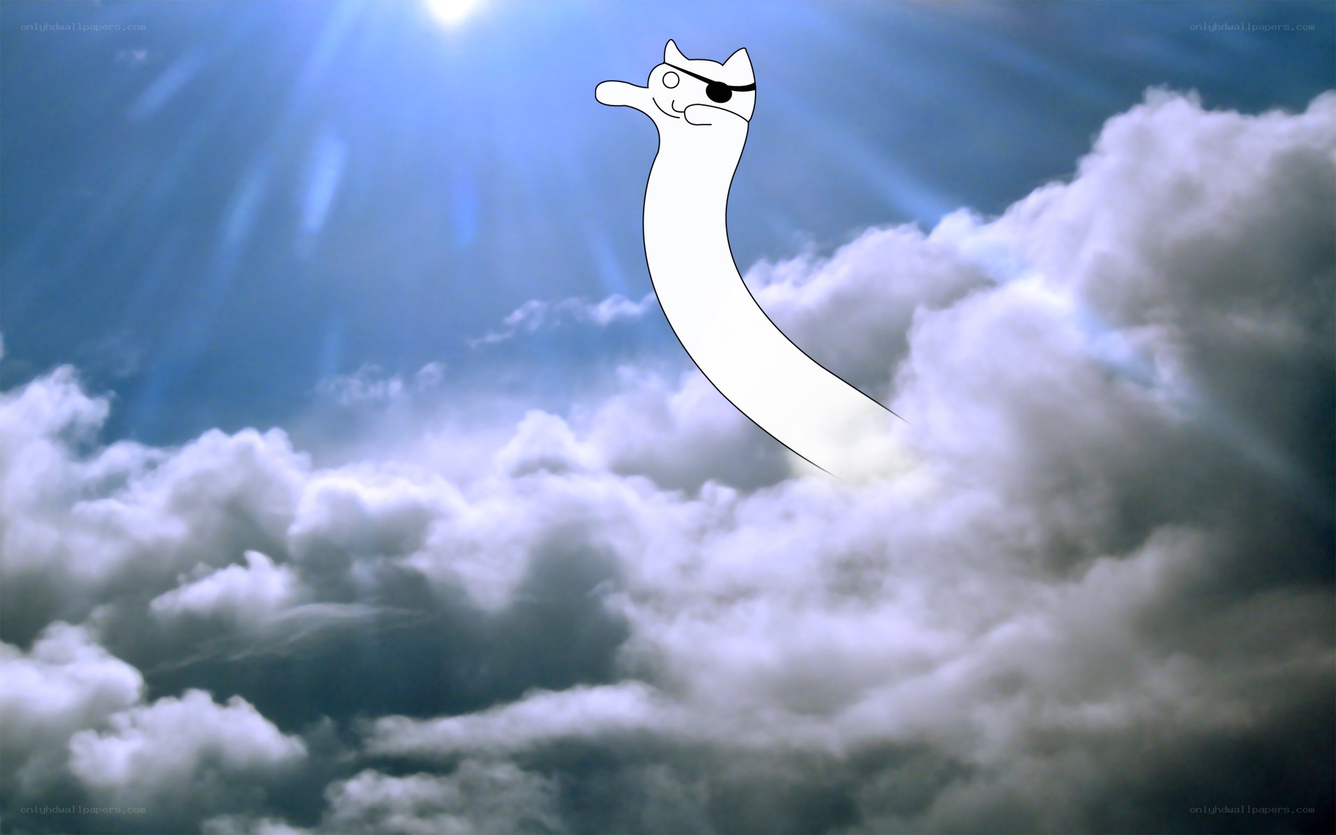 Pirate cat in the sky