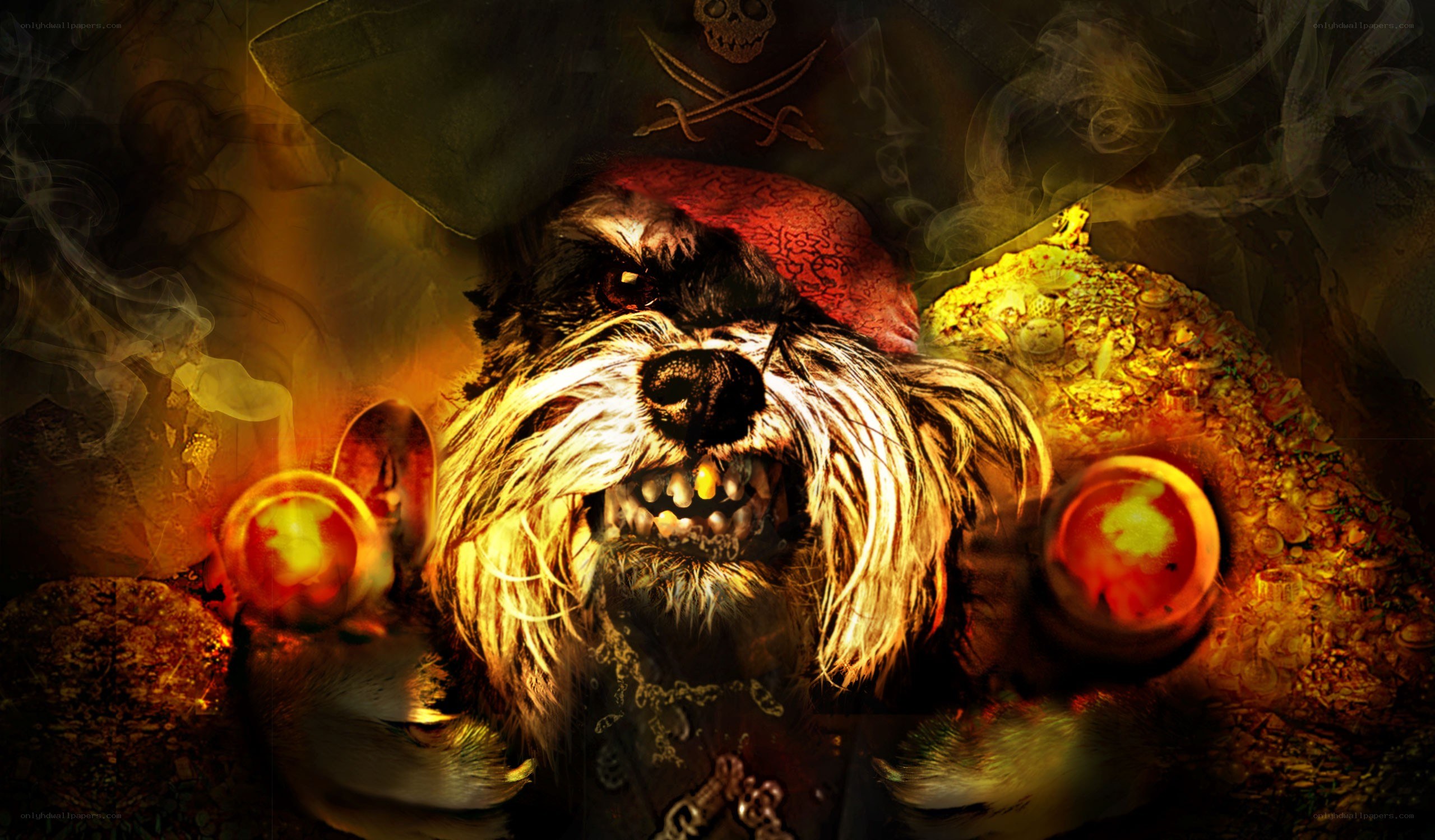 pirate dog with treasure