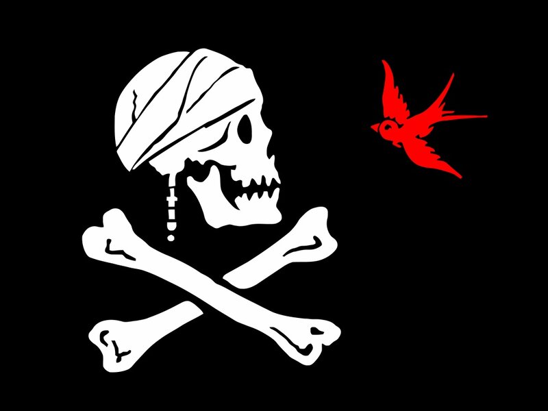 pirate flag with red bird