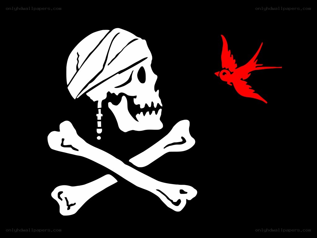 pirate flag with red bird