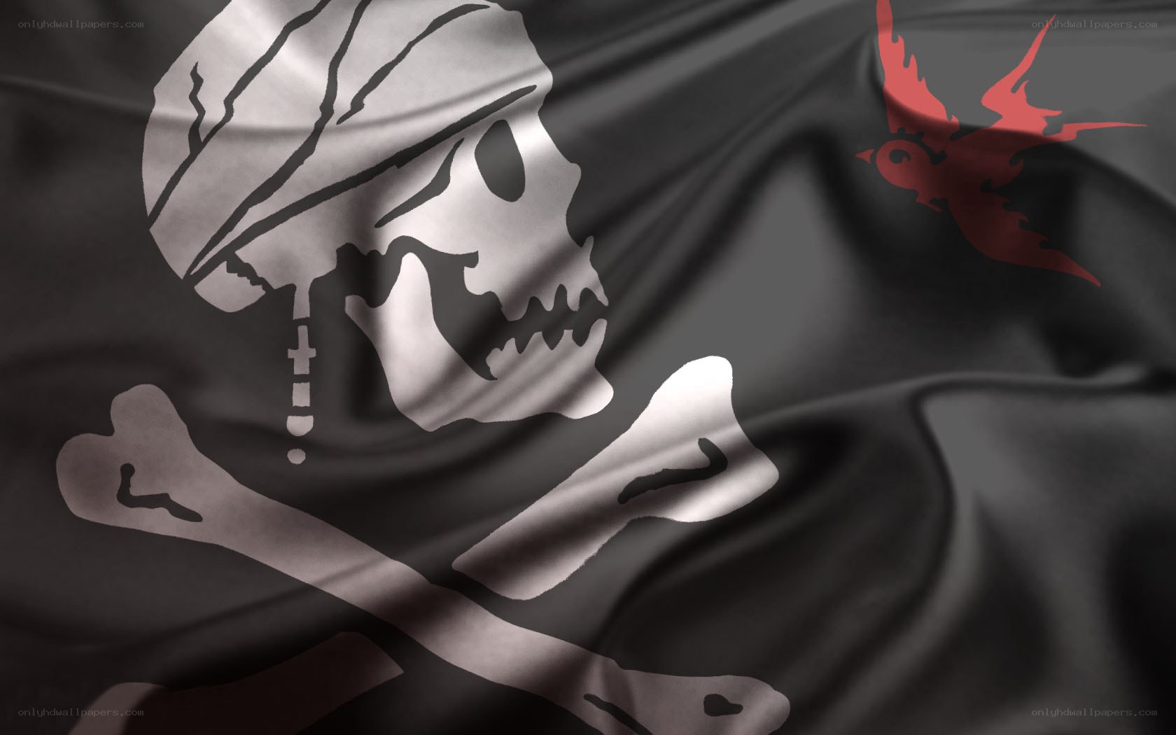 pirate flag with skull and bird