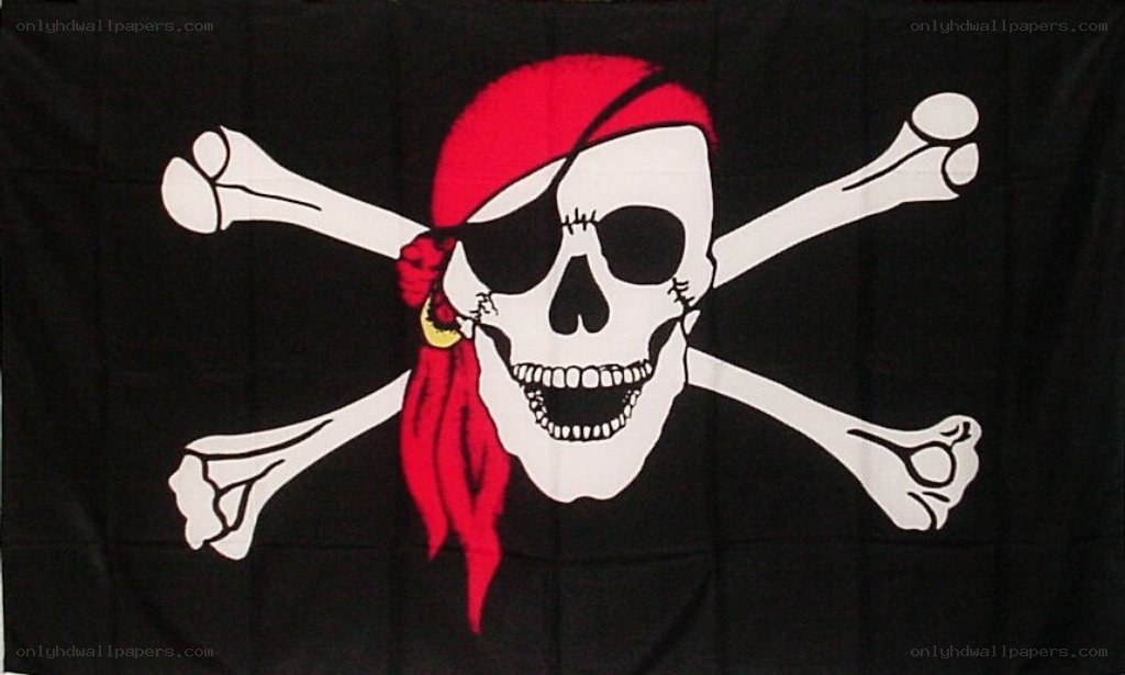 pirate flag with skull