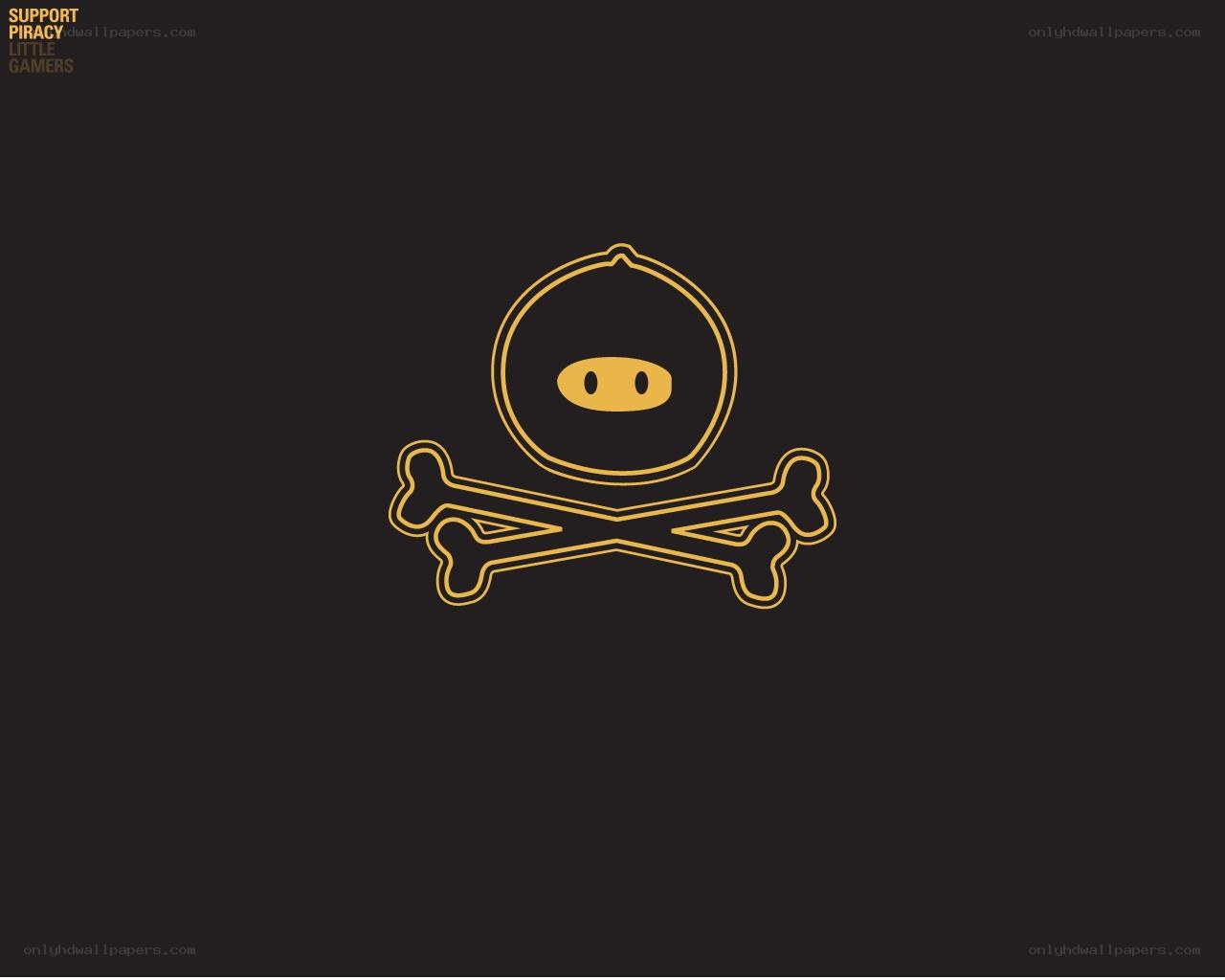 pirate ninja logo
