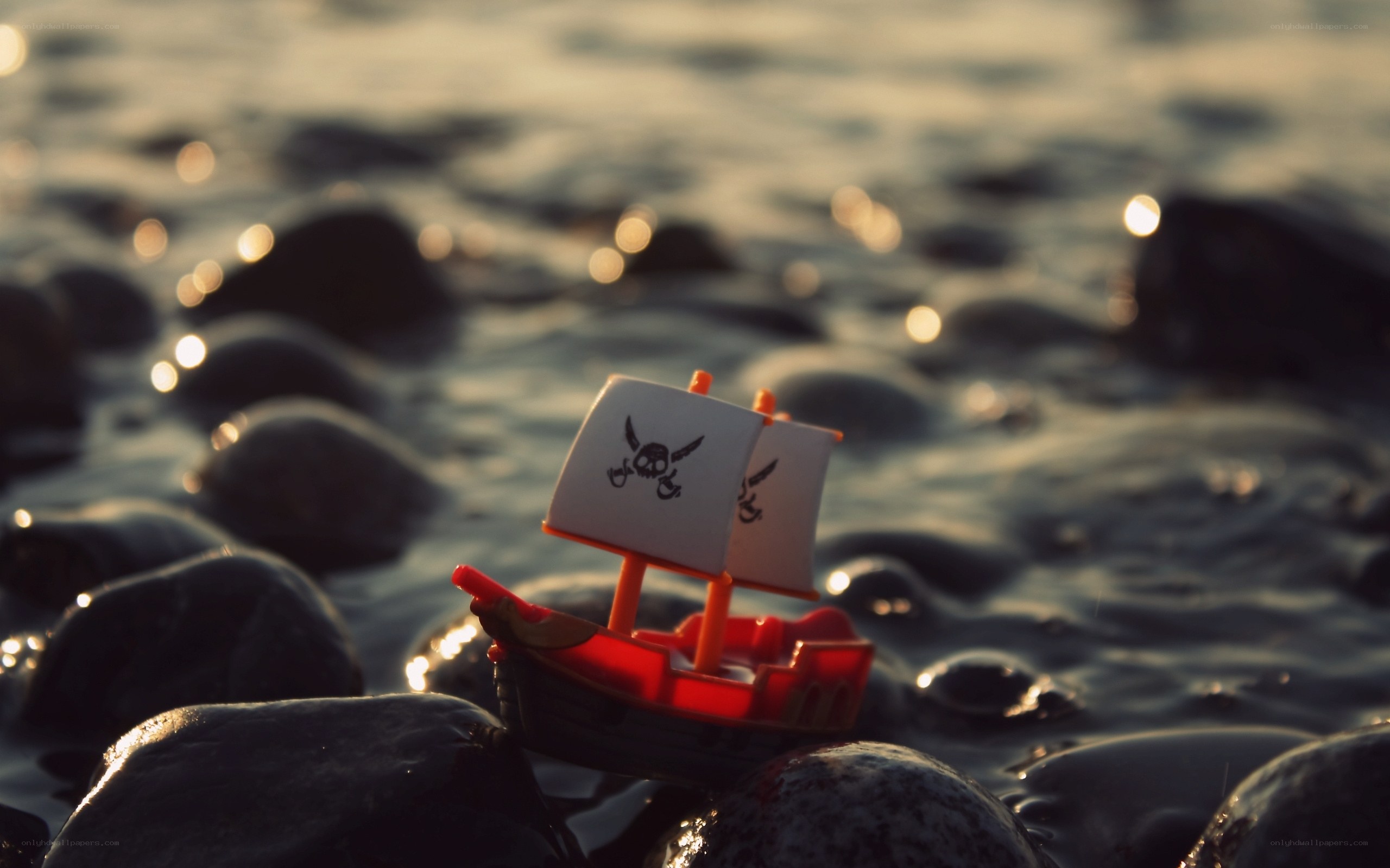Pirate ship on the shore