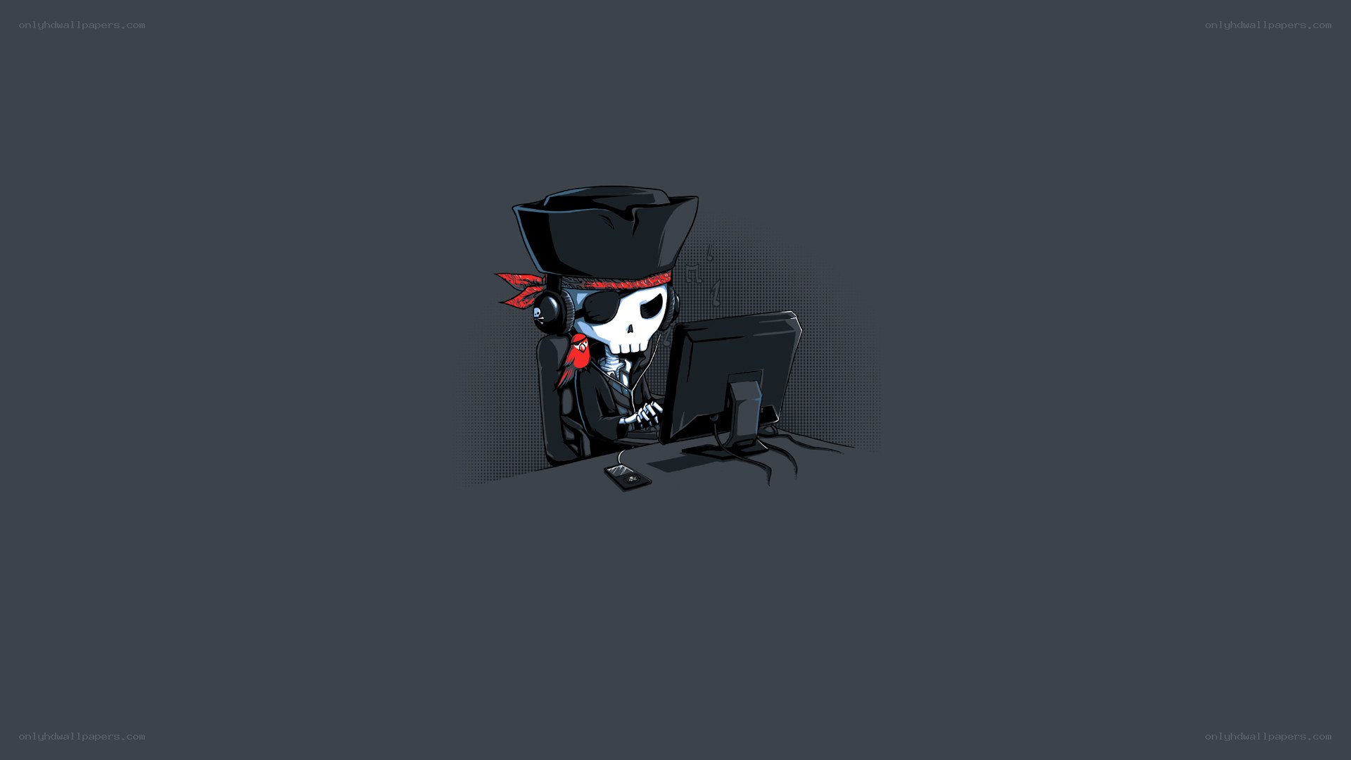 pirate skeleton at computer
