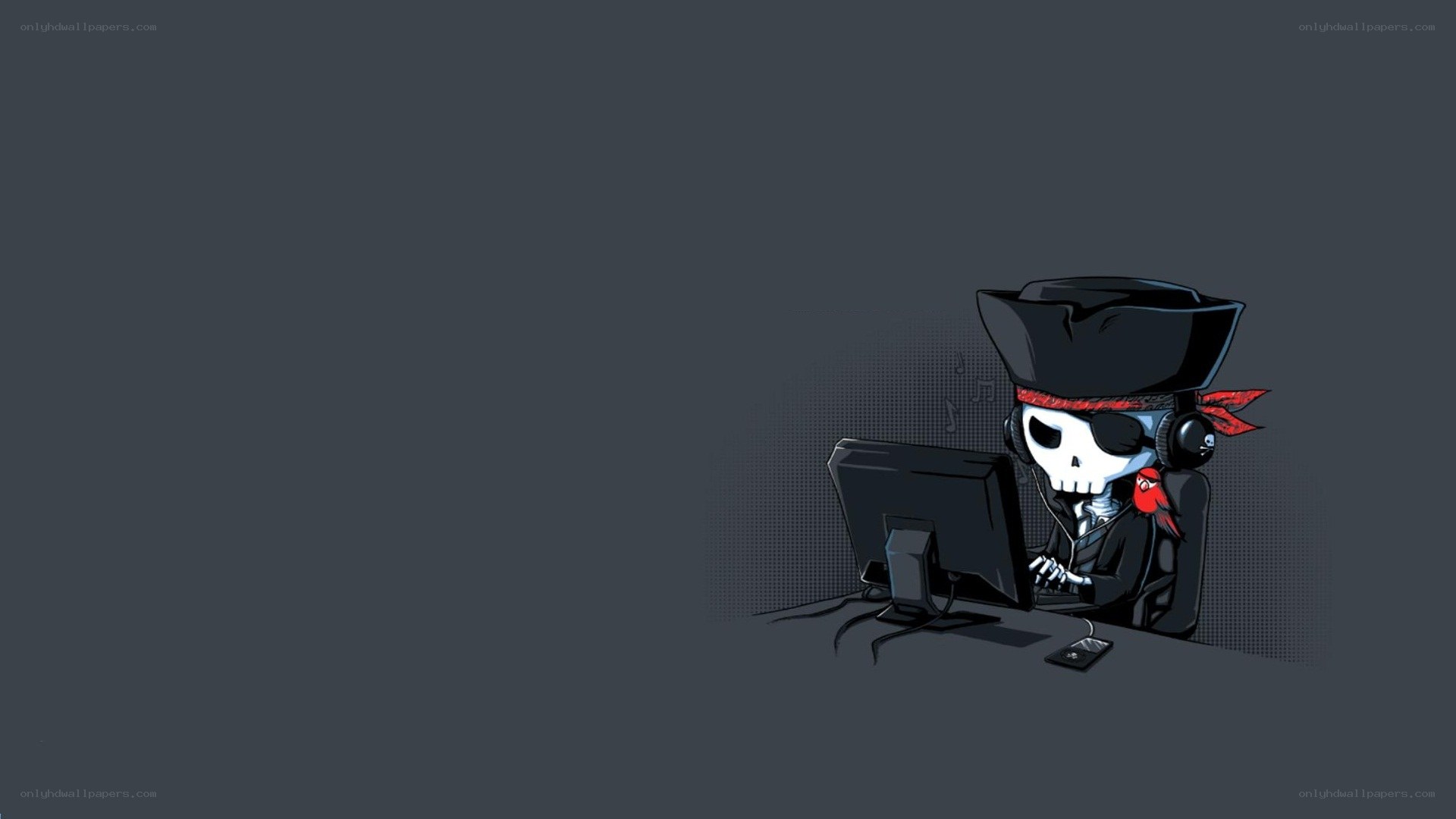 pirate skeleton at computer