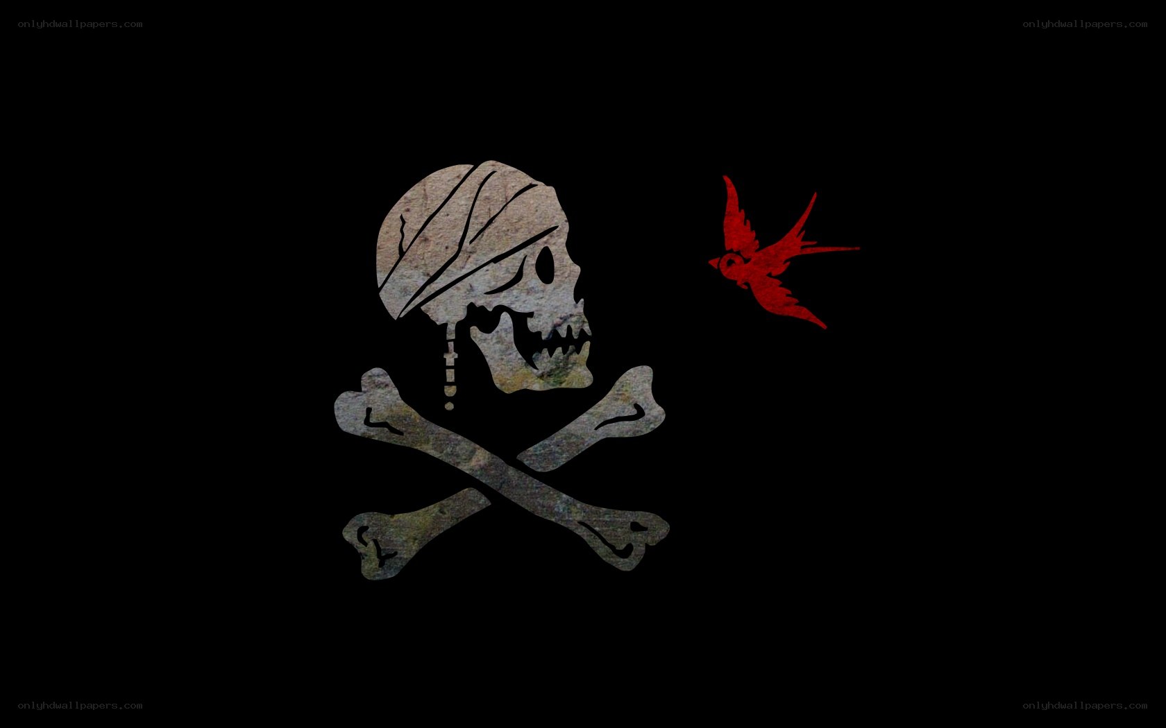 pirate skull with red bird