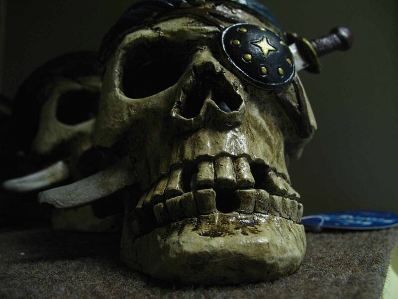 Pirate skull with sword