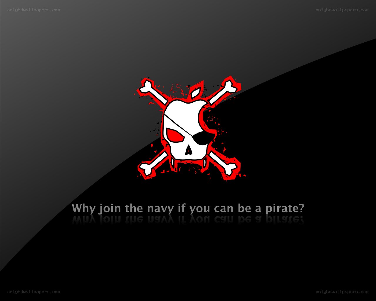 Pirate vs Navy