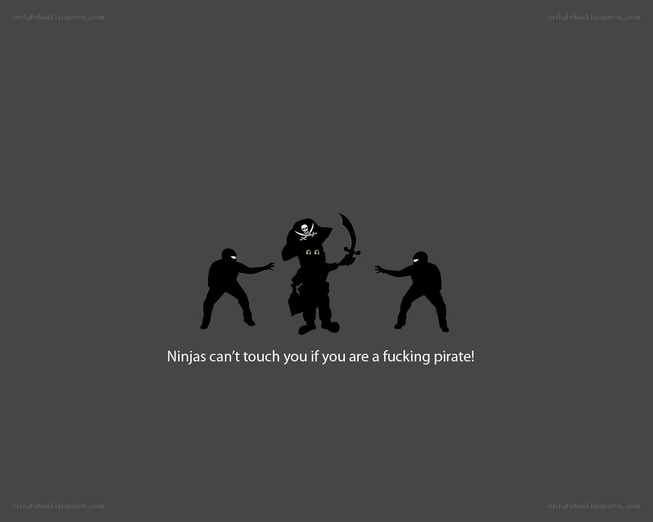 pirate vs ninjas